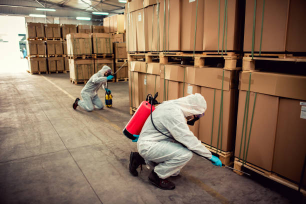 Best Commercial Pest Control Services  in Vardaman, MS