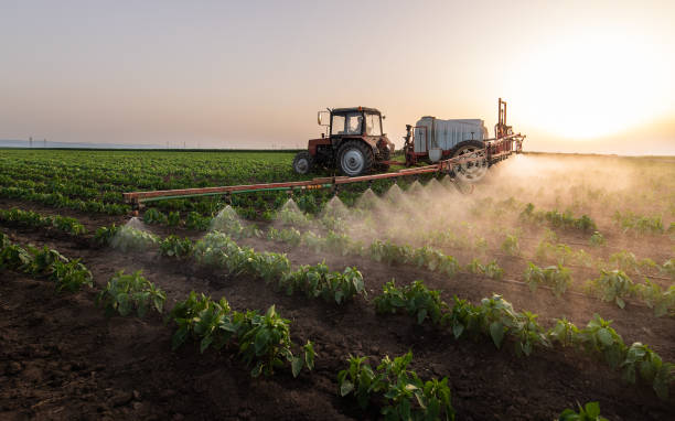 Best Pest Prevention Services  in Vardaman, MS
