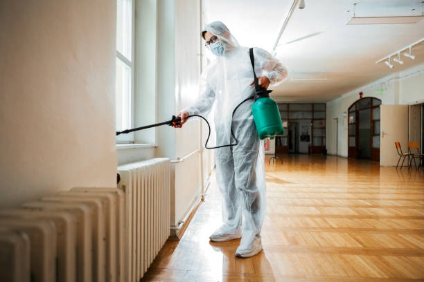 Best Best Pest Control Companies  in Vardaman, MS