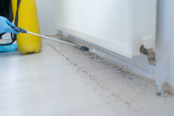 Best Pest Inspection Near Me  in Vardaman, MS