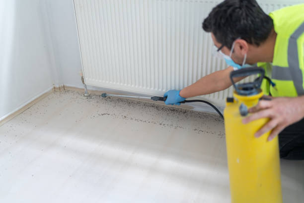 Reliable Vardaman, MS Pest Control Solutions